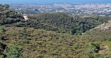 Land For Sale In Tsada Paphos Cyprus