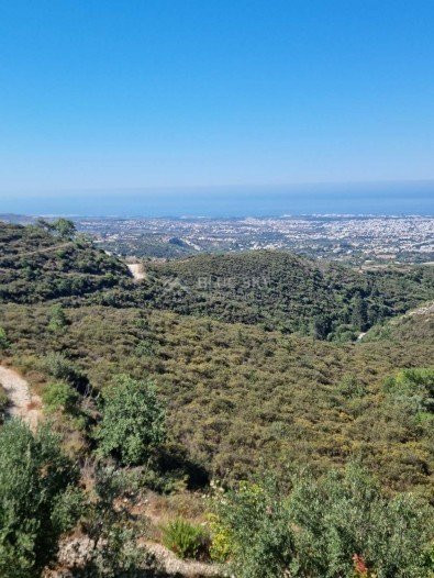 Land For Sale In Tsada Paphos Cyprus