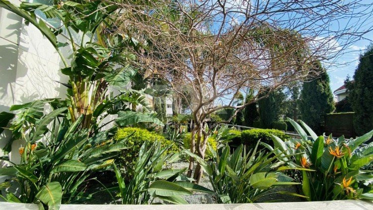 4 Bed Apartment For Sale In Agios Tychon Limassol Cyprus