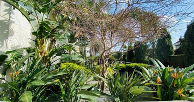 4 Bed Apartment For Sale In Agios Tychon Limassol Cyprus