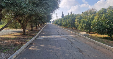 Five Bedroom House for rent In Asomatos