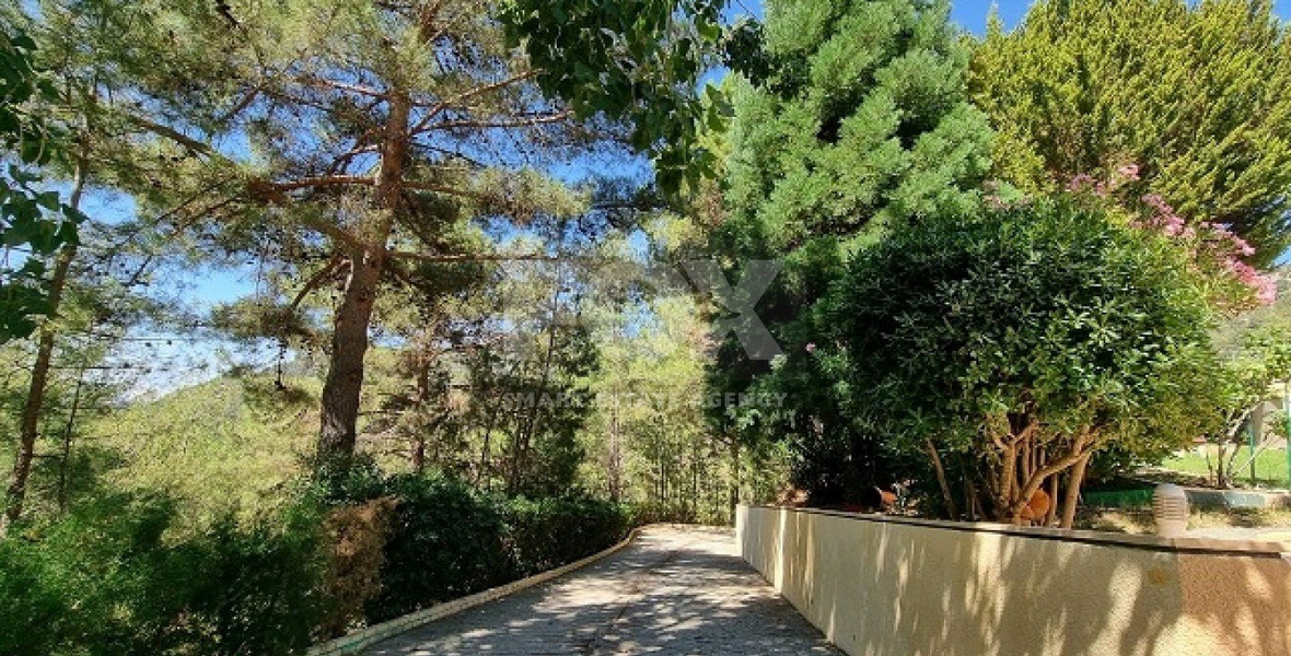 Do you wish to own this Superb Villa in Moniatis with a private road & big garden?
