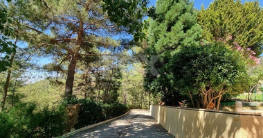Do you wish to own this Superb Villa in Moniatis with a private road & big garden?