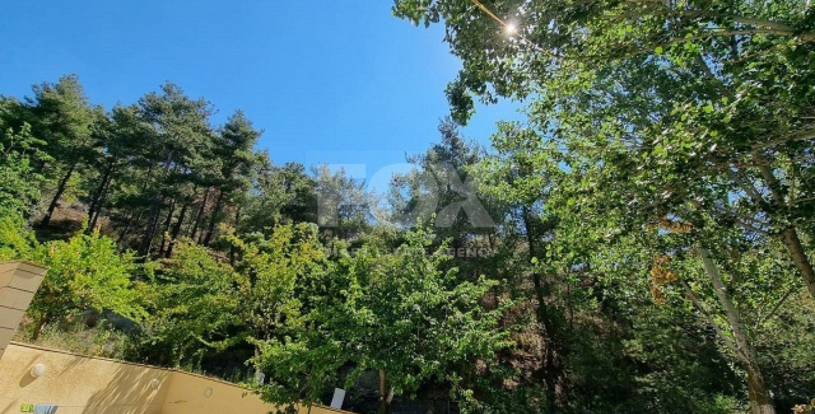Do you wish to own this Superb Villa in Moniatis with a private road & big garden?