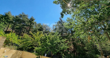 Do you wish to own this Superb Villa in Moniatis with a private road & big garden?