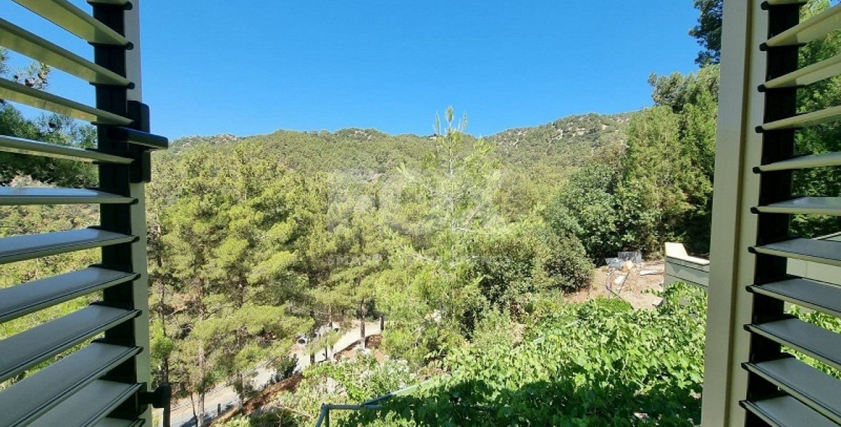 Do you wish to own this Superb Villa in Moniatis with a private road & big garden?