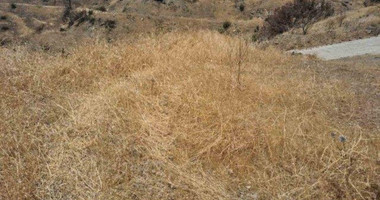 Land For Sale In Eptagoneia Limassol Cyprus