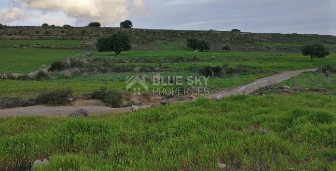 Land For Sale In Anogyra Limassol Cyprus