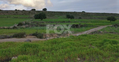 Land For Sale In Anogyra Limassol Cyprus