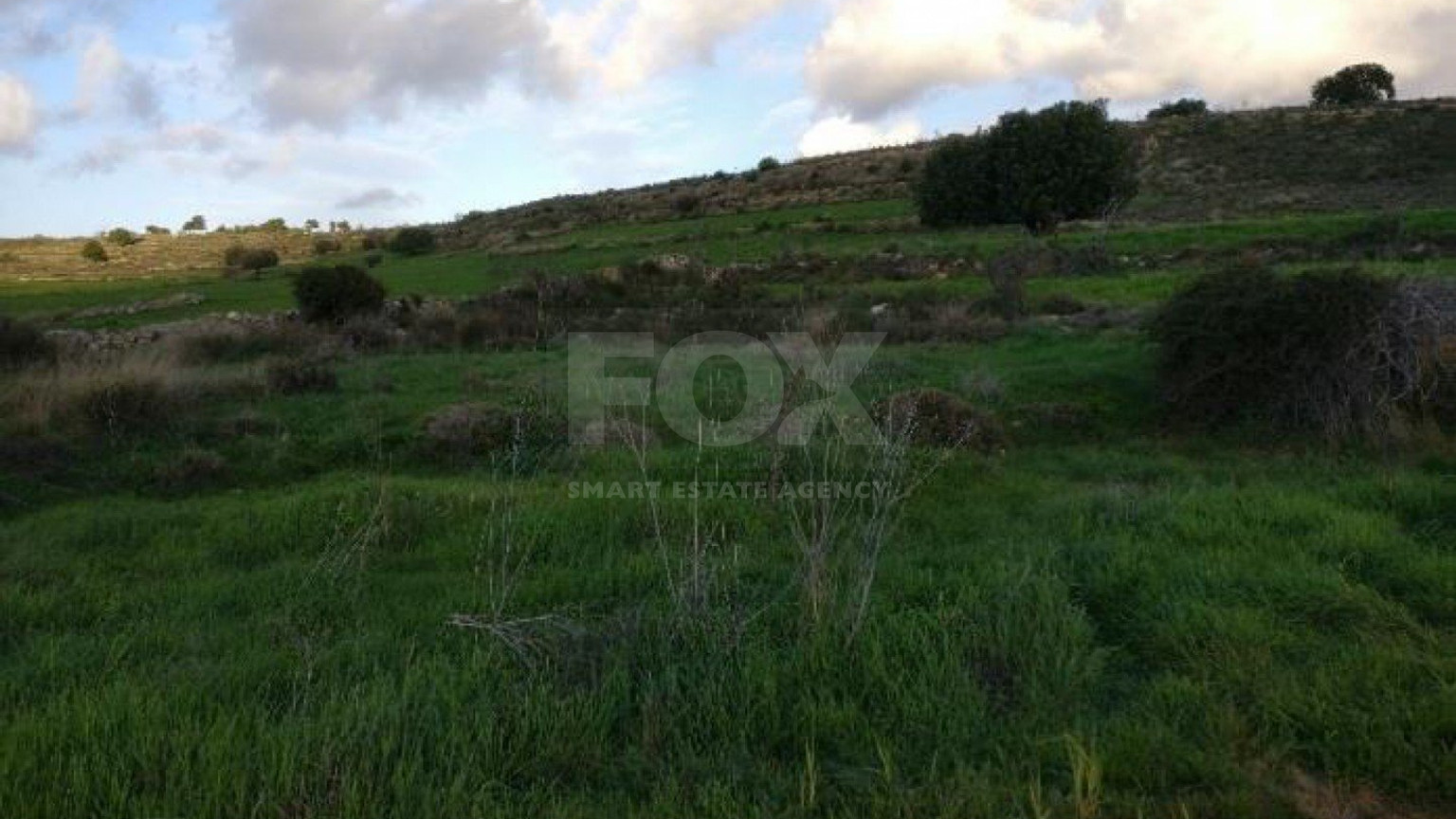 Land For Sale In Anogyra Limassol Cyprus