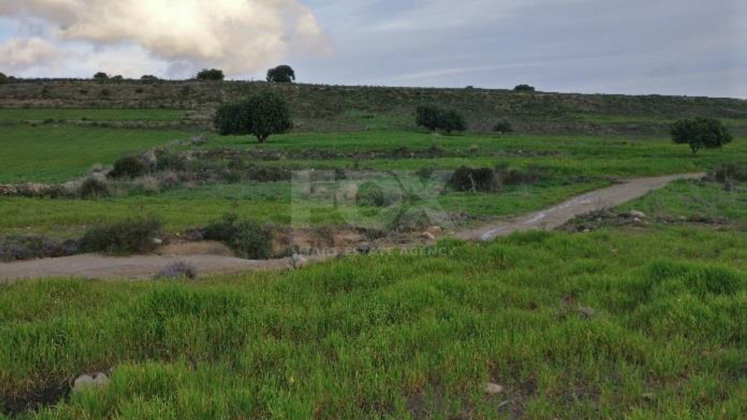 Land For Sale In Anogyra Limassol Cyprus