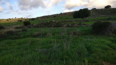 Land For Sale In Anogyra Limassol Cyprus