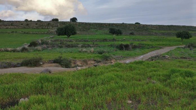 Land For Sale In Anogyra Limassol Cyprus