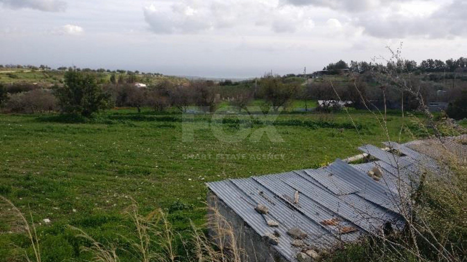 Land For Sale In Anogyra Limassol Cyprus