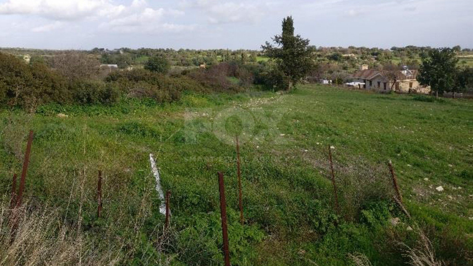 Land For Sale In Anogyra Limassol Cyprus