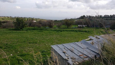 Land For Sale In Anogyra Limassol Cyprus