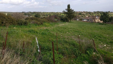 Land For Sale In Anogyra Limassol Cyprus