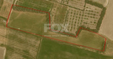 Land For Sale In Timi Paphos Cyprus