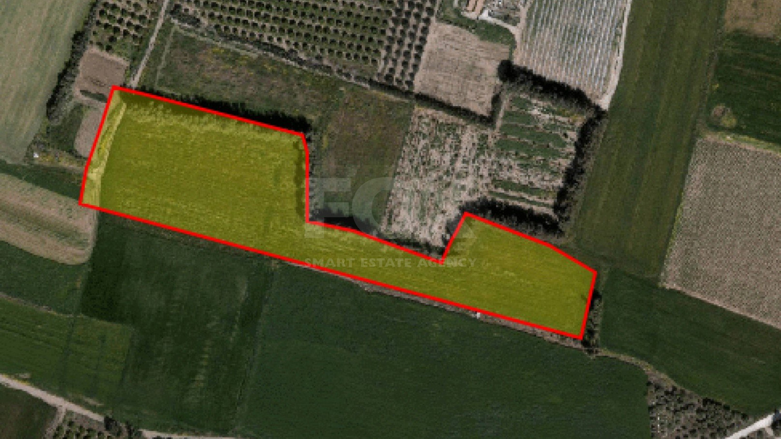 Land For Sale In Timi Paphos Cyprus