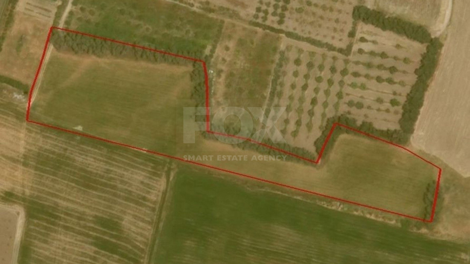 Land For Sale In Timi Paphos Cyprus