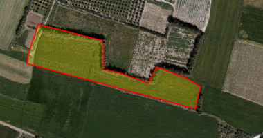Land For Sale In Timi Paphos Cyprus