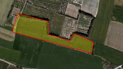 Land For Sale In Timi Paphos Cyprus