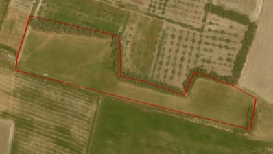 Land For Sale In Timi Paphos Cyprus