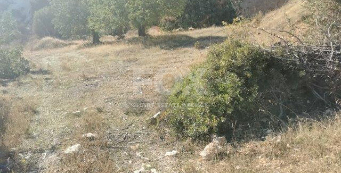 Land For Sale In Pyrgos Lemesou Limassol Cyprus