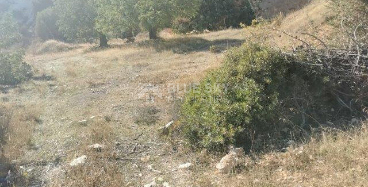 Land For Sale In Pyrgos Lemesou Limassol Cyprus
