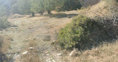 Land For Sale In Pyrgos Lemesou Limassol Cyprus