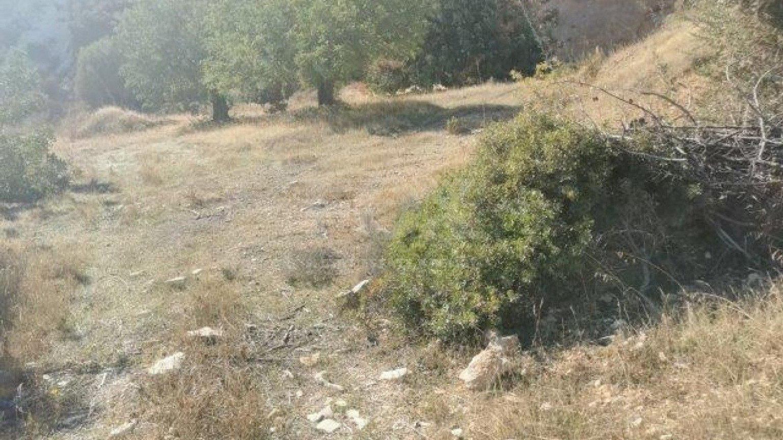 Land For Sale In Pyrgos Lemesou Limassol Cyprus