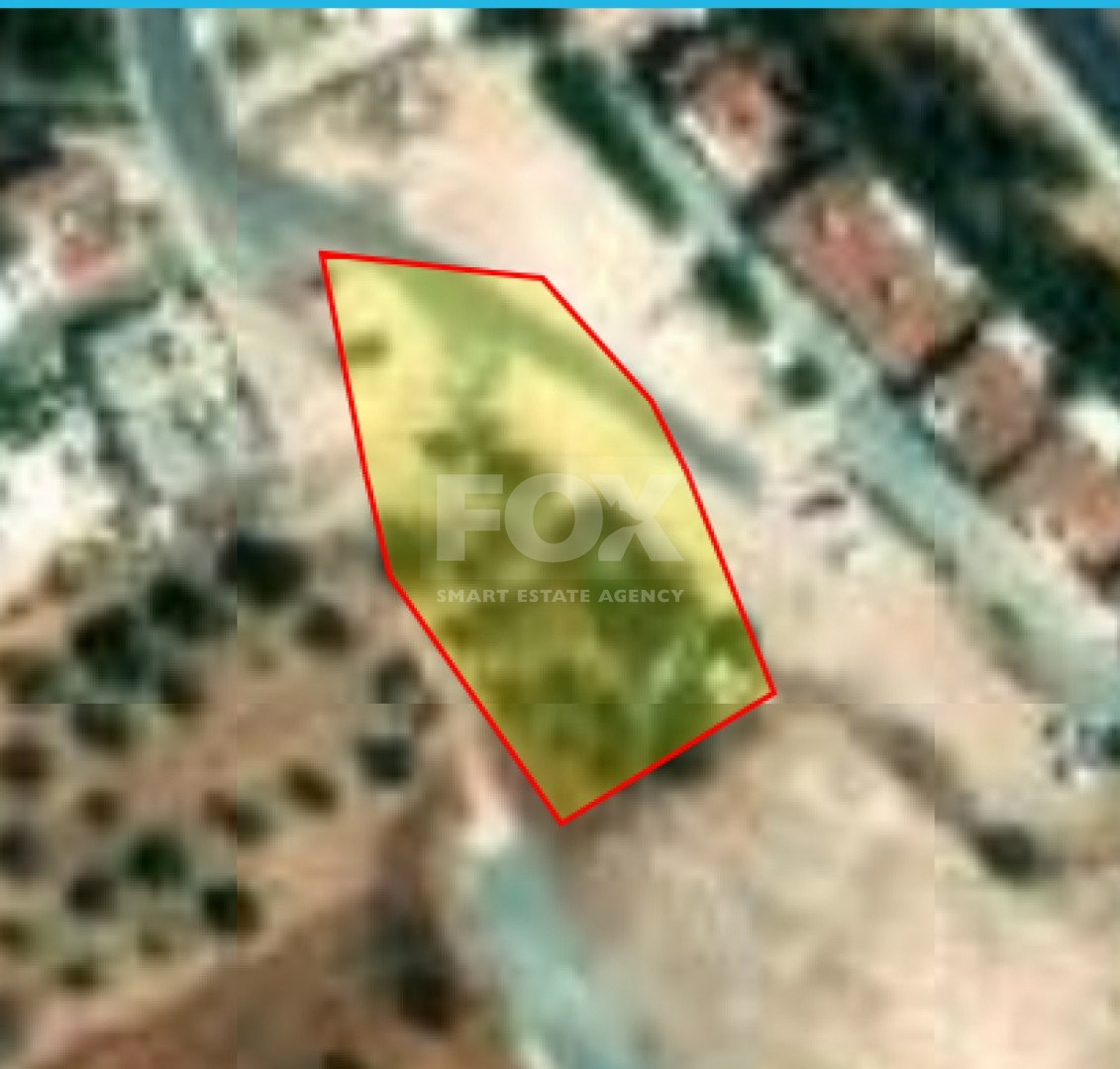 Land For Sale In Prodromi Paphos Cyprus