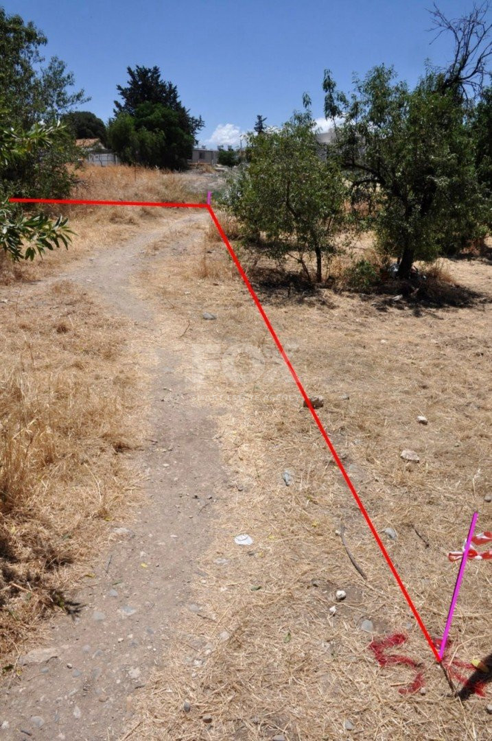 Land For Sale In Prodromi Paphos Cyprus