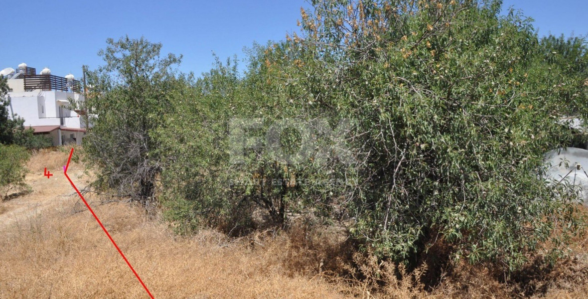 Land For Sale In Prodromi Paphos Cyprus