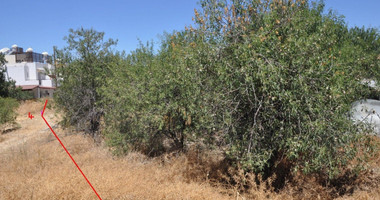 Land For Sale In Prodromi Paphos Cyprus