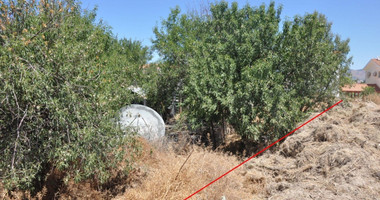 Land For Sale In Prodromi Paphos Cyprus