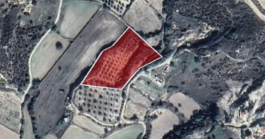 Land For Sale In Pissouri Limassol Cyprus