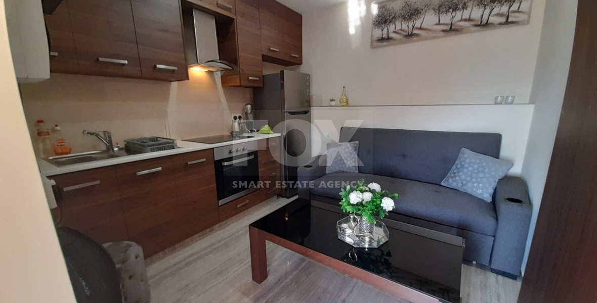 Two Renovated Studios + Additional Room for Sale in Dierona Village - Limassol