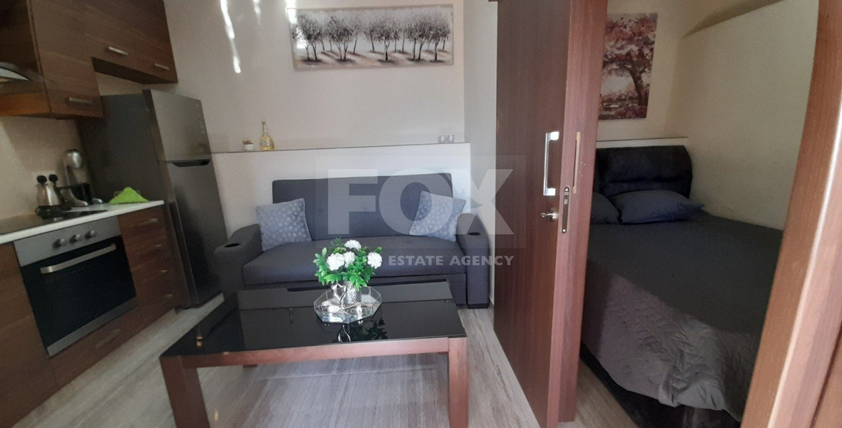 Two Renovated Studios + Additional Room for Sale in Dierona Village - Limassol