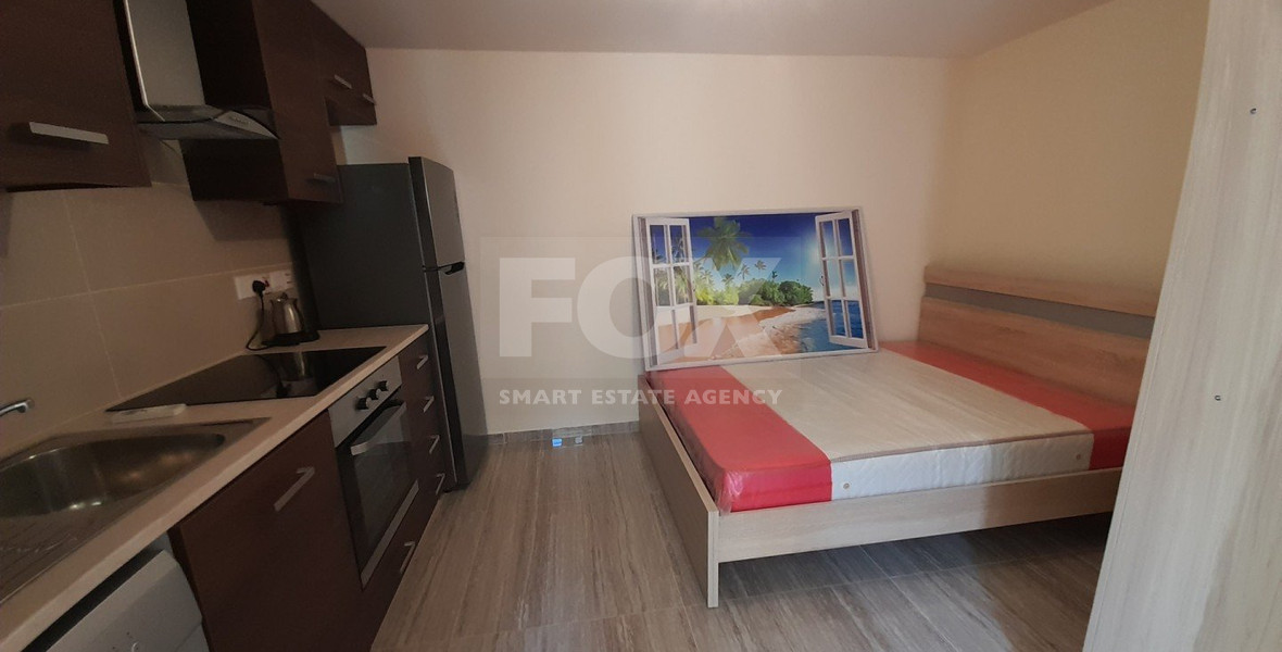 Two Renovated Studios + Additional Room for Sale in Dierona Village - Limassol