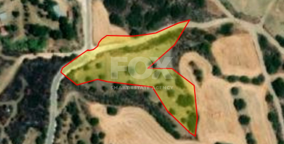 Land For Sale In Meladeia Paphos Cyprus