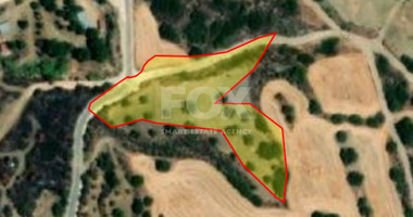 Land For Sale In Meladeia Paphos Cyprus