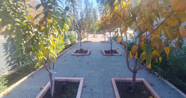 Nice three  Bedroom  House For Sale In Kalo Chorio Lemesou Limassol Cyprus