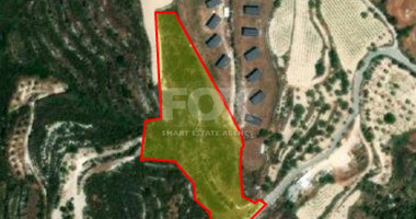 Land For Sale In Tsada Paphos Cyprus