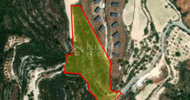 Land For Sale In Tsada Paphos Cyprus