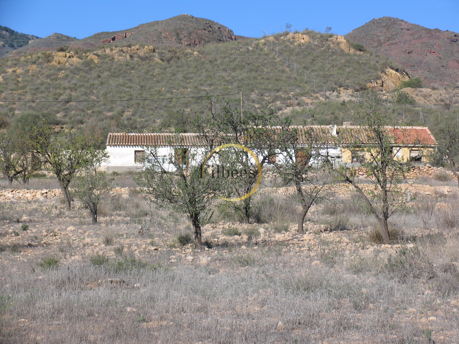 Propiedad 40