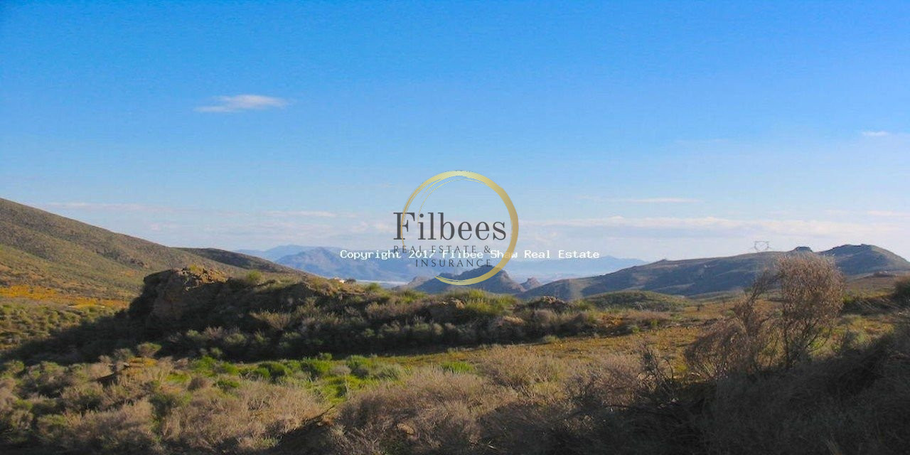 House in Los Lorcas - view 1