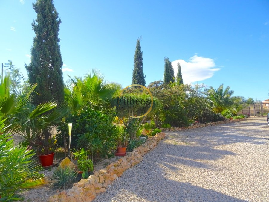 House in Lo Jorge - Image 3