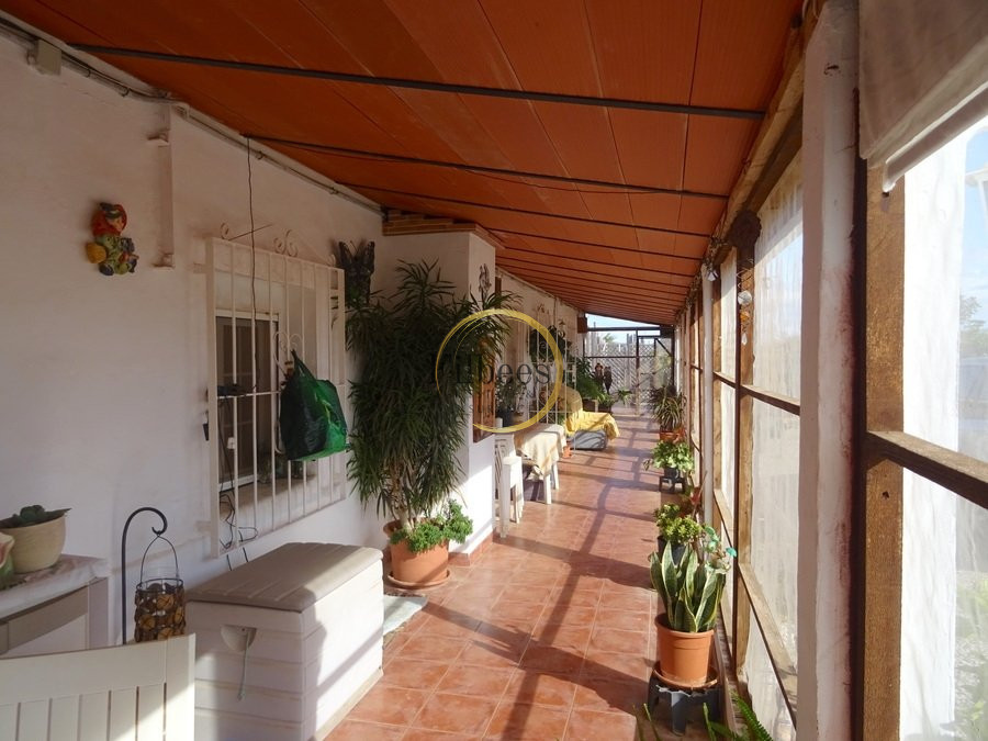 House in Lo Jorge - Image 4