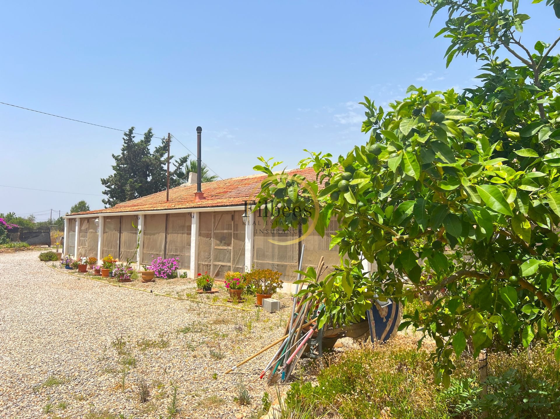 House in Lo Jorge - view 1